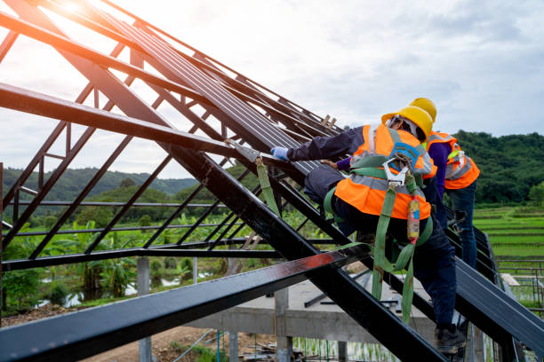 Best Metal Roofing Contractor  in Moravian Falls, NC